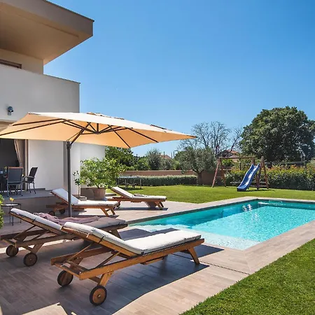 別荘 Moraceae プーラ