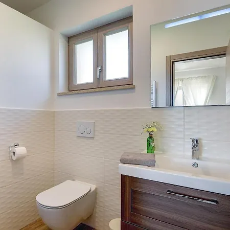 Moraceae * プーラ