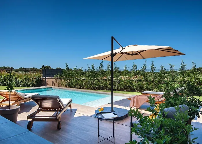 Moraceae Σπίτι διακοπών