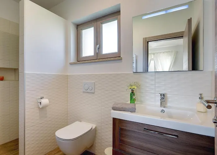 Moraceae * Πούλα